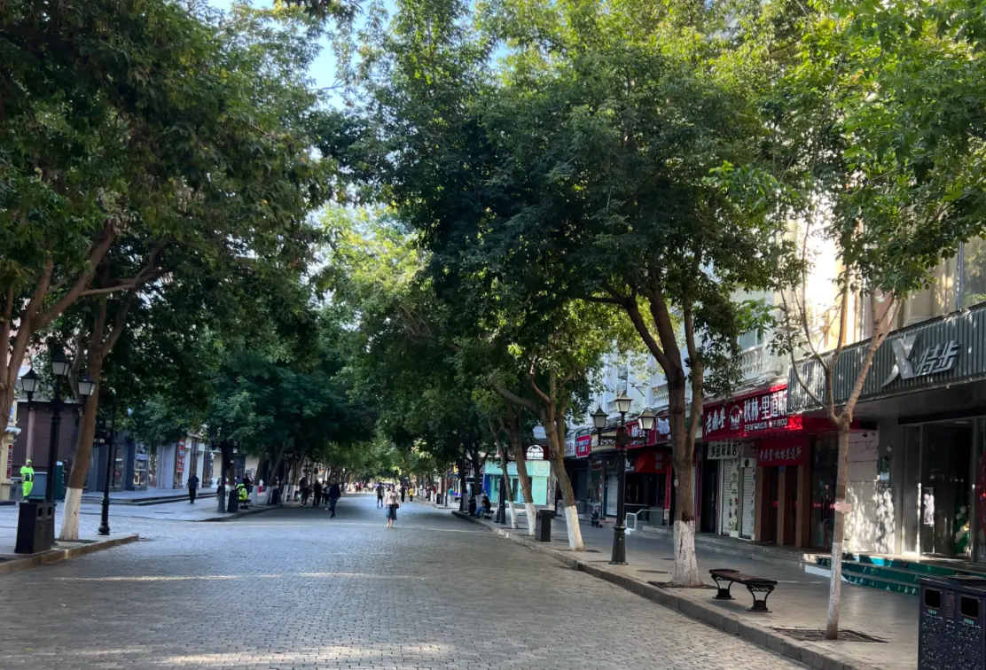 杭州街道两侧树木与商铺构成的城市街景