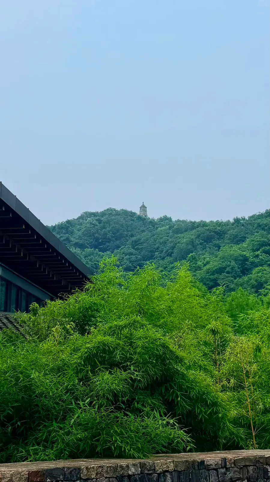 竹林与建筑屋檐