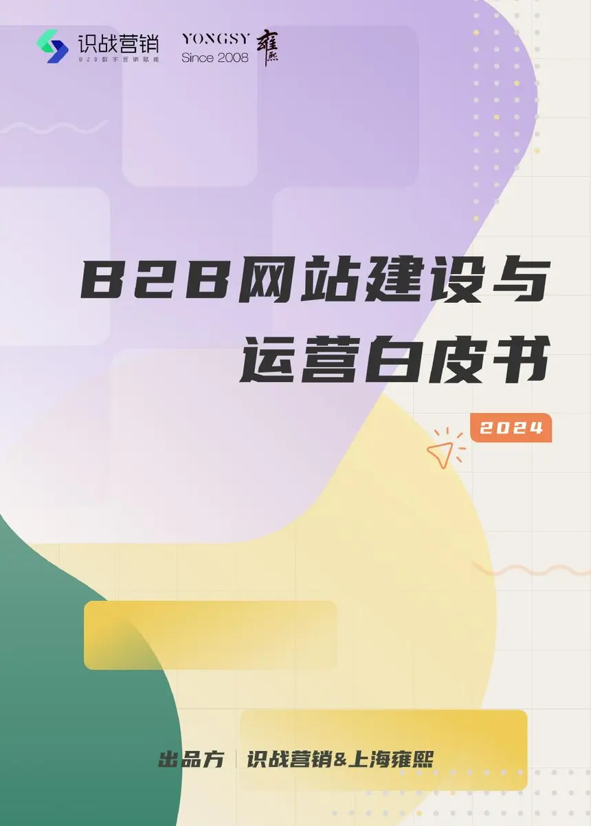 B2B网站建设与运营白皮书2024原始封面