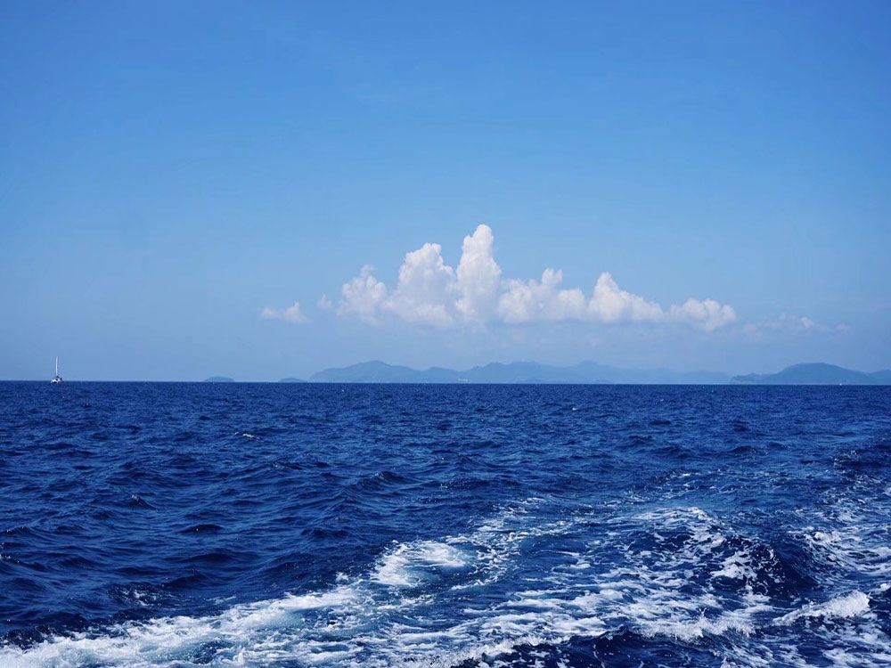 我放弃了“求快”的执念，先把本事练扎实。