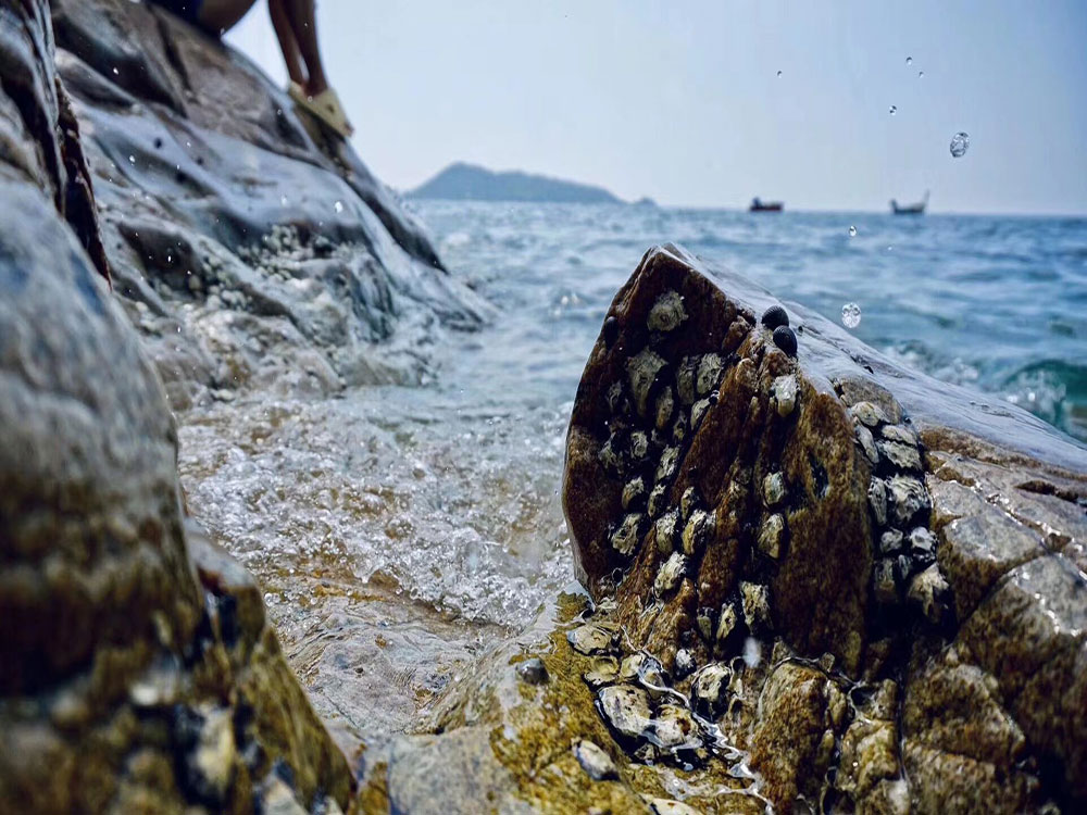 企业不是没钱了，是不愿意浪费钱了。