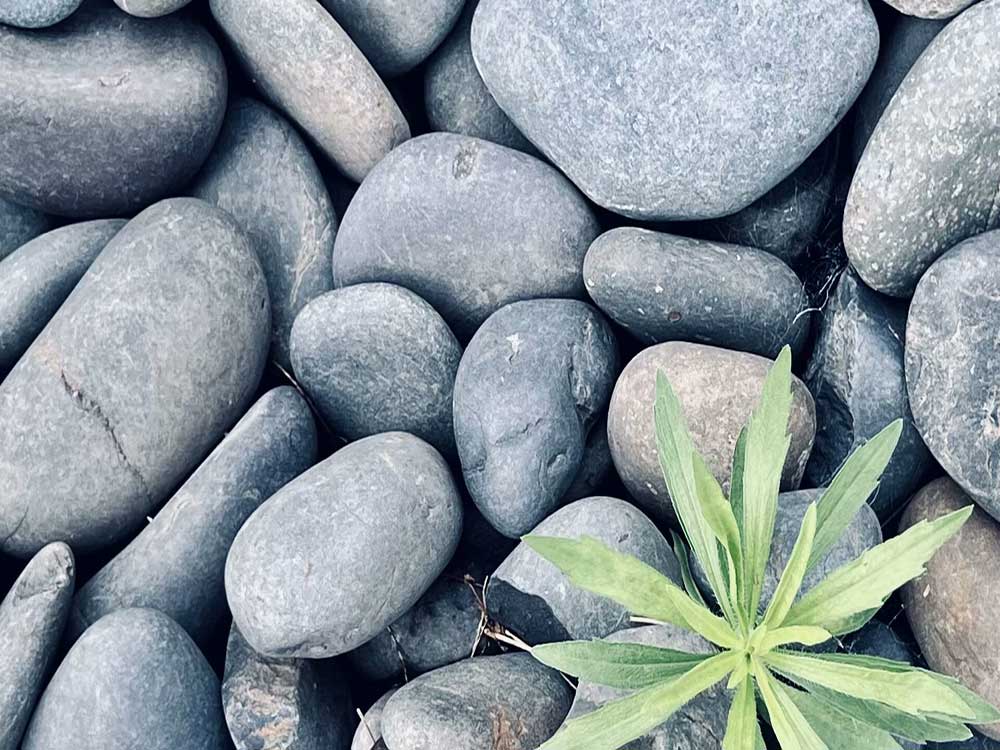 公众号内容对于微信搜索与腾讯元宝的Friendly