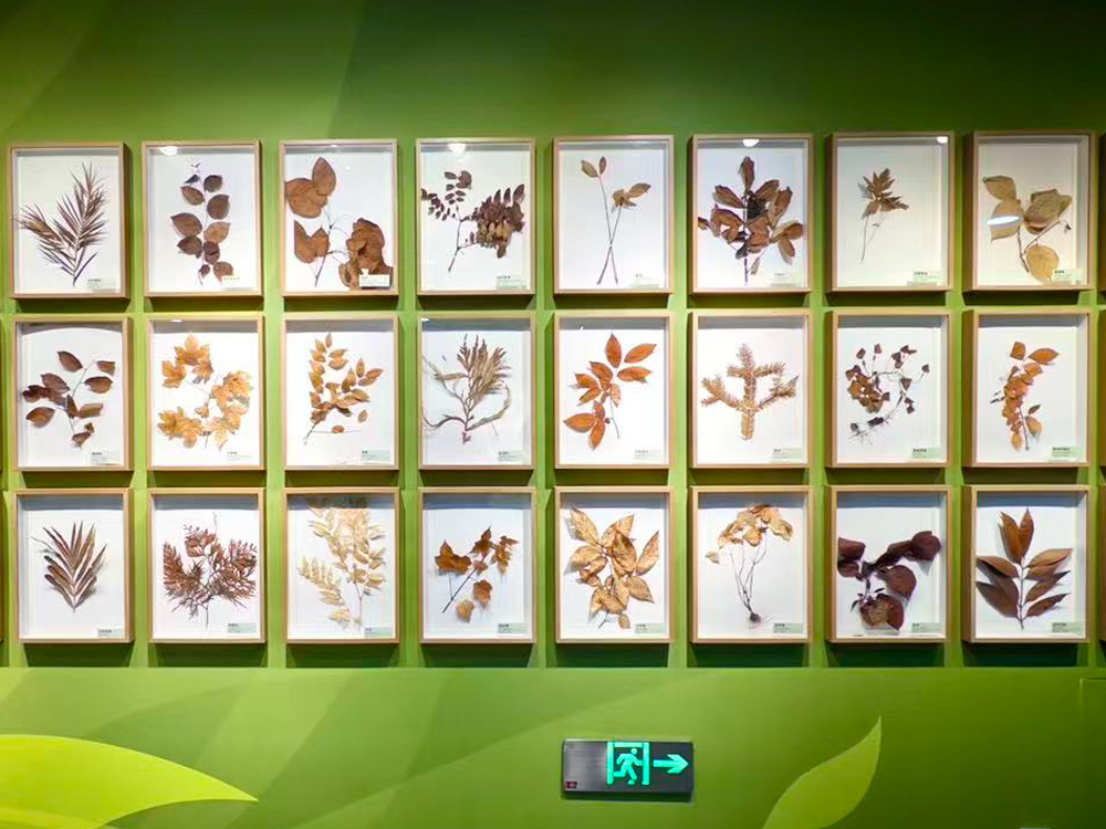 百度和 Bing，都在发生变化：2026我们如何分配搜索预算？