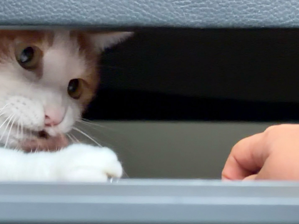 落地页用官网还是基木鱼？80% 的转化损耗都在“用错落地页”上