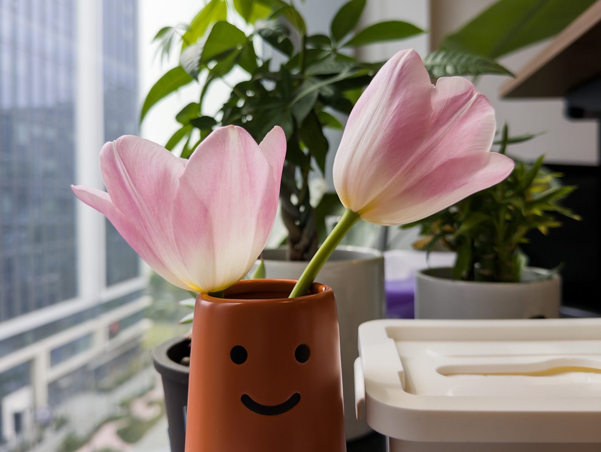 我们在B2B GEO项目中，重新理解了“AI投毒”这件事